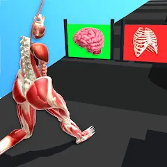 Взлом Human Run (Хуман Ран)  [МОД Unlocked] - стабильная версия apk на Андроид