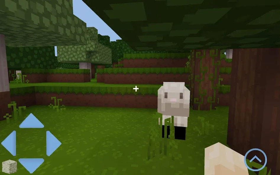 Craft World (Майккрафт)  [МОД Unlocked] Screenshot 5