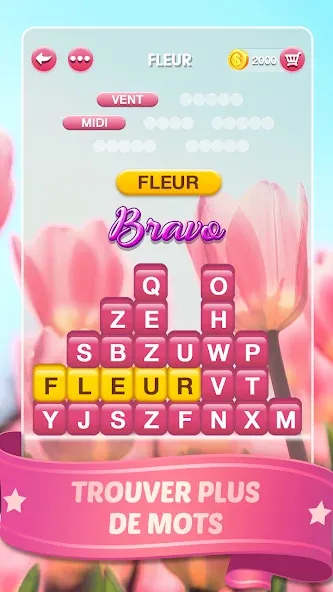 Mots Malins - Jeu de mots pro (Мо Малинс)  [МОД Menu] Screenshot 3