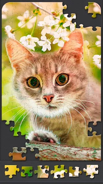 Jigsaw Puzzles for Adults  [МОД Mega Pack] Screenshot 5